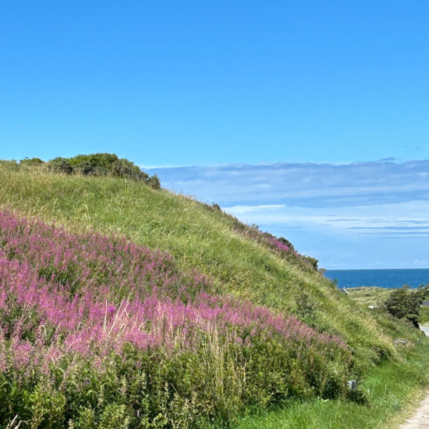 Ophold til EventyrHike &amp; trail p Hotel Strandlyst, Tornby Strand 21/3-22/3-2025